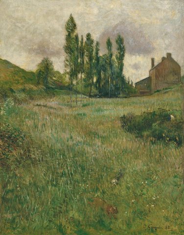 Dogs Running in a Meadow