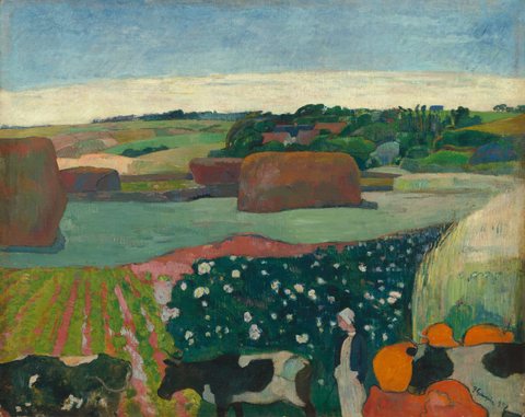 Heuhaufen in der Bretagne