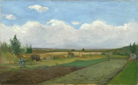 Landscape