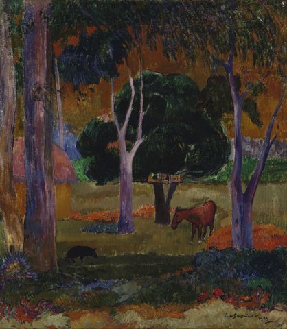 Landschaft auf La Dominique (Hiva Oa)