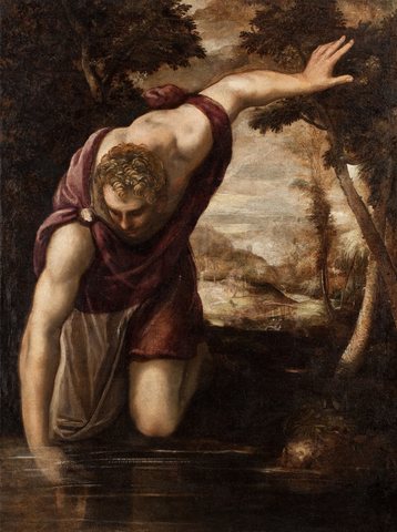 Narcissus