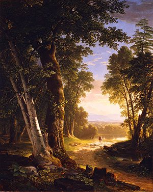 Asher B The Beeches