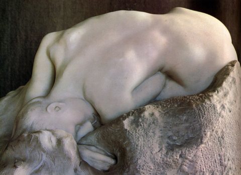 Naiad