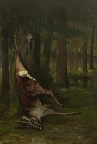 Hanging roe deer