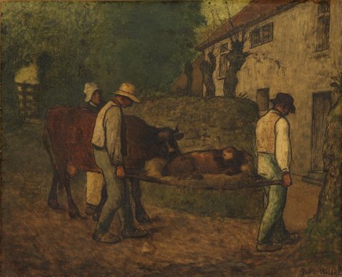 Bringing Home the Calf Born in the Fields