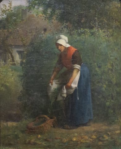 Gathering Beans