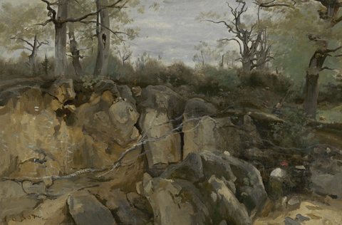 Abandoned Quarry