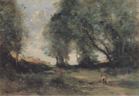 Forest landscape