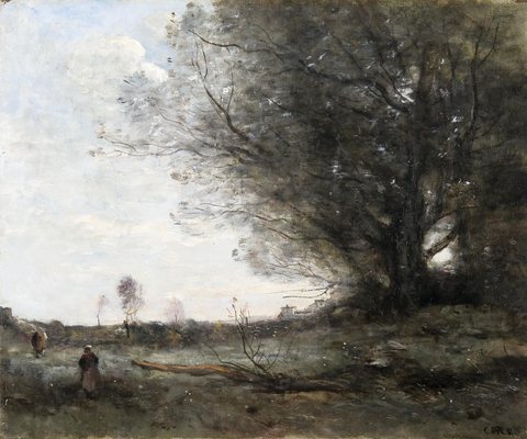 The Beech Tree