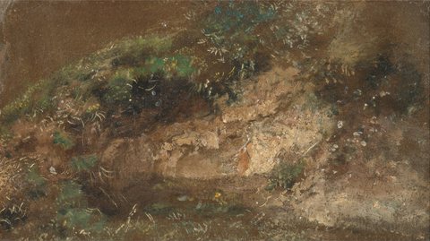 Undergrowth