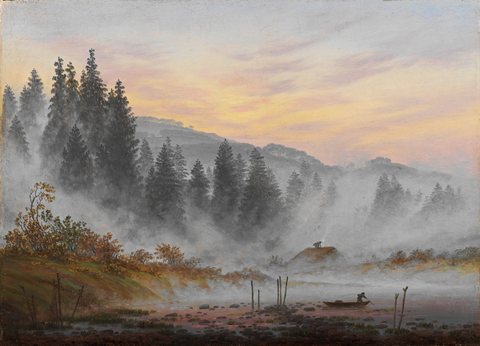 Daytime cycle: The Morning
