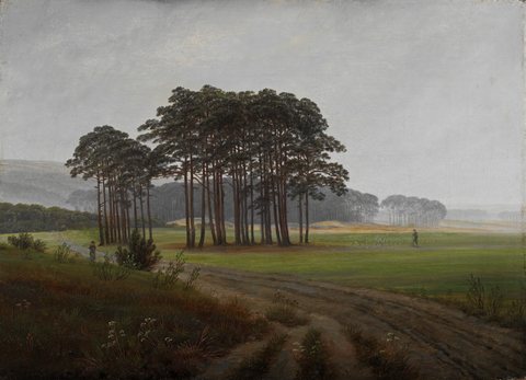 Daytime cycle: The Midday