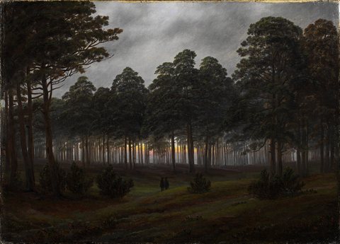 Daytime cycle: The Evening
