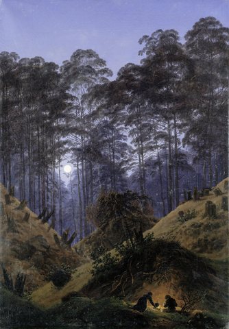 Inside the forest in the moonlight
