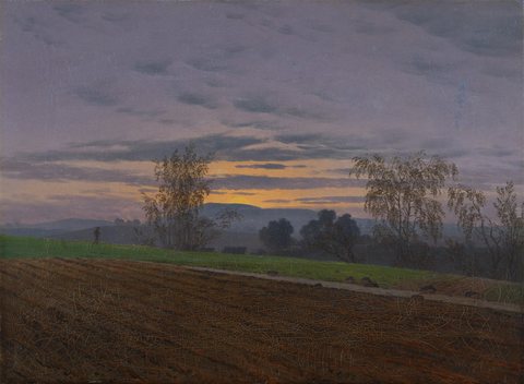 Sturzacker