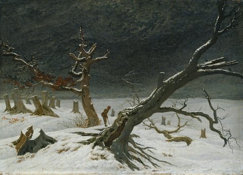 Winter landscape