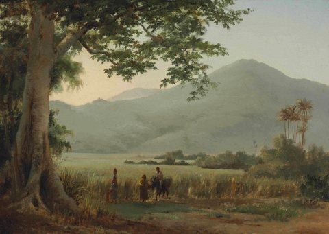 People Discussing in the Roadside