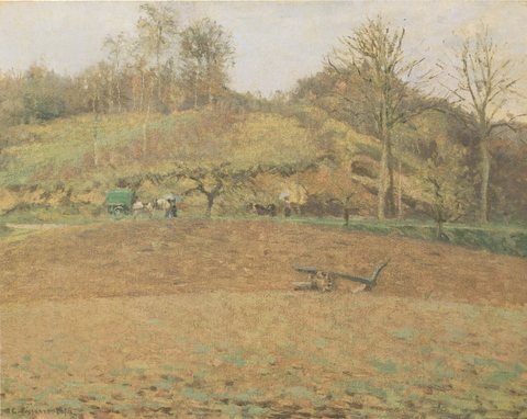 Ploughed Fields