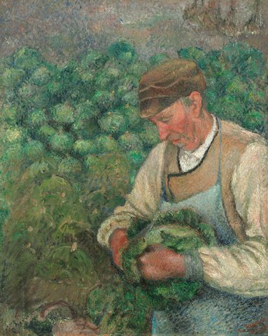 Der Gärtner, alter Bauer mit Kohl