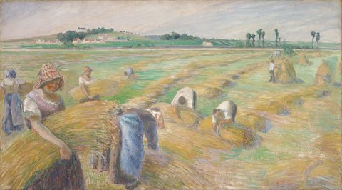 The Harvest