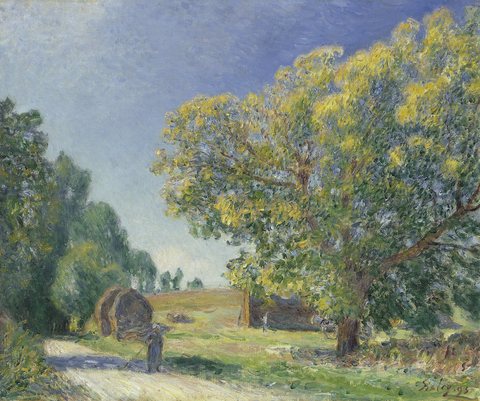 A Forest Clearing