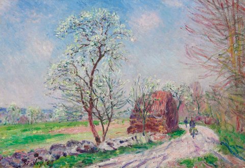 Along the woods in spring