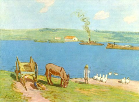 River bank