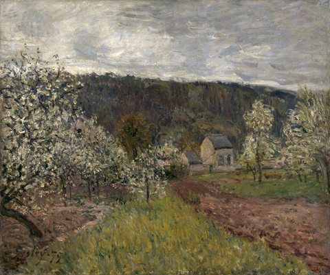 Rainy spring near Paris