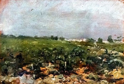 Céleyran, View of the vineyards
