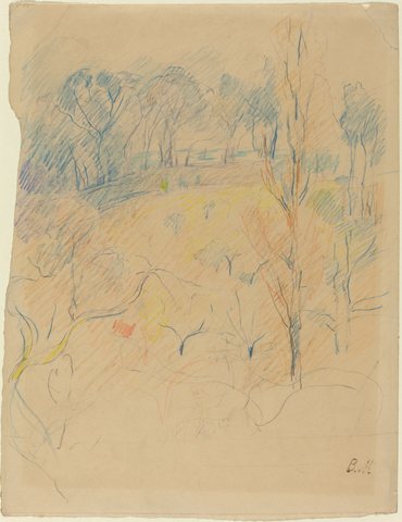 Spring landscape