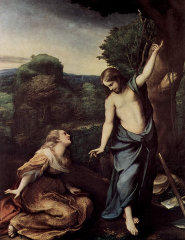 Correggio 056