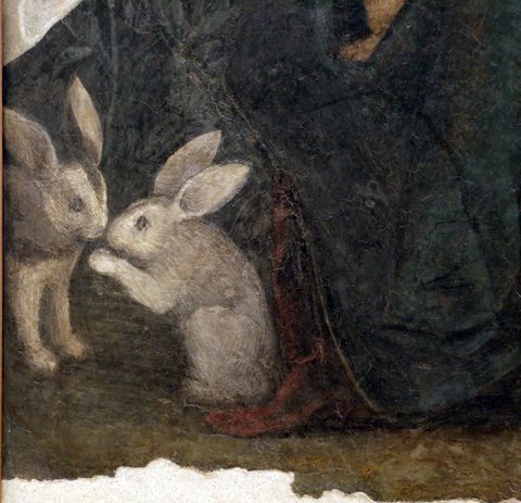 Correggio, madonna dei limoni, 1511, 02 conigli