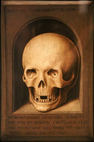A skull