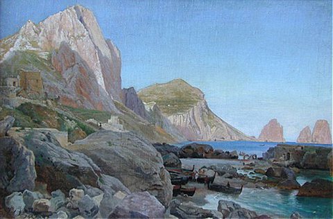 Aagaard Carl Frederick Mediterranean Shipping