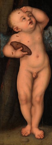 Cupid as Honey Thief