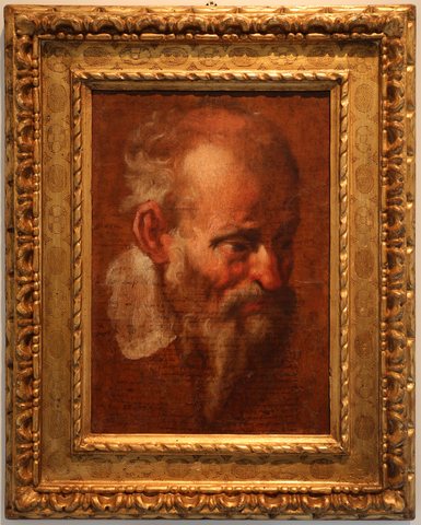 Study of a Head of a bearded Man