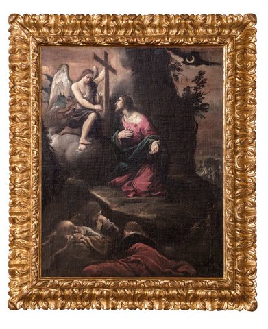 Q134486447
