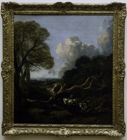 The Fallen Tree