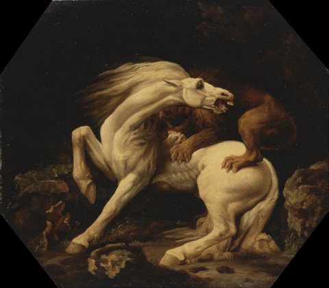 Horse Attacked by a Lion (Episode C)