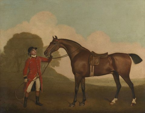 A Bay Horse with a Groom
