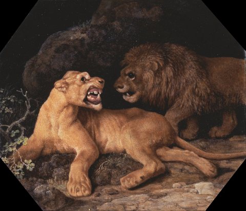 Lion and Lione
