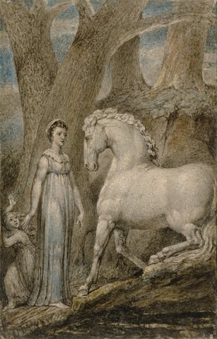 The Horse
