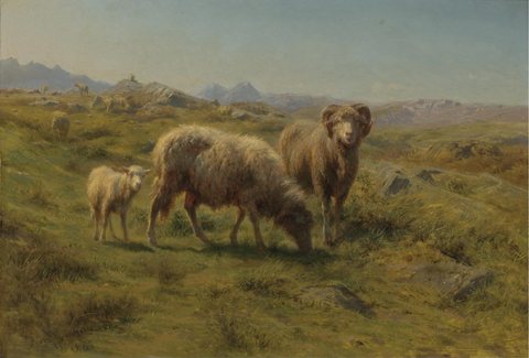 A Sheep, Ram and Lamb with the Flock