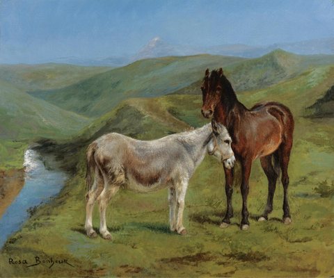 A Pony and a Donkey in a Mountain Landscape