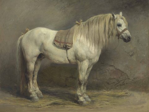 A White Horse