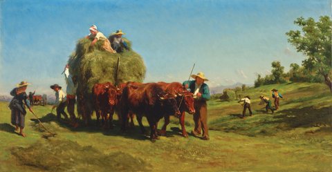 Harvest Season