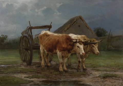 Oxen Pulling A Cart