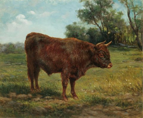 Longhorn Bull in a Landscape