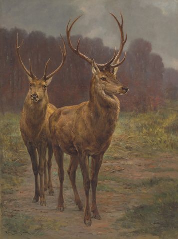 Monarchs of the Forest