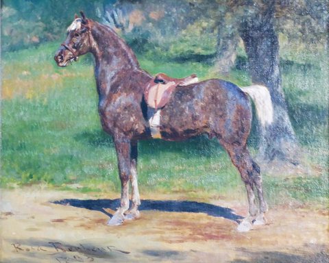 Horse